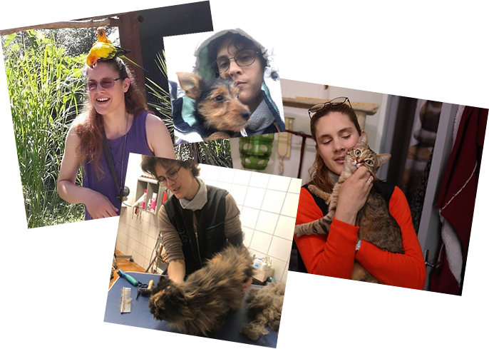 Pets Services 65